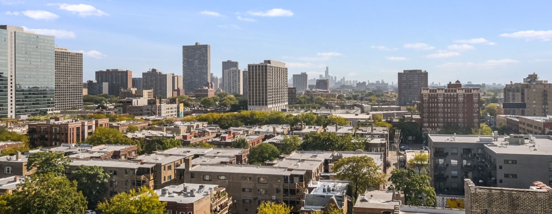 a spacious city-scape with many trees and buildings